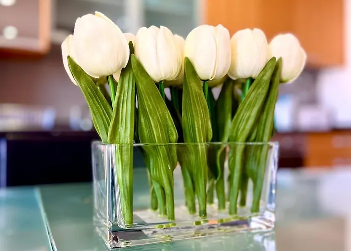 Viva Onda Baleal Surfing &